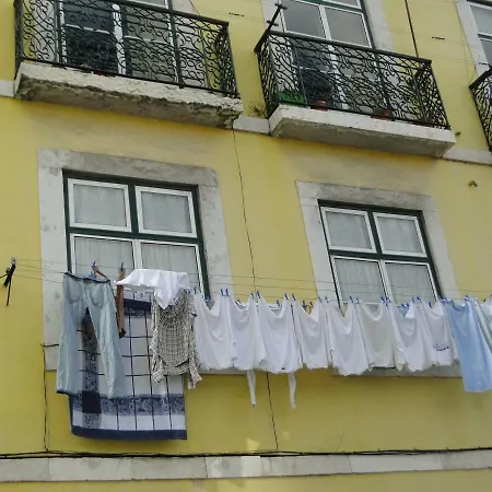 The Country In The Town *