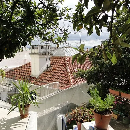 The Country In The Town Lisboa